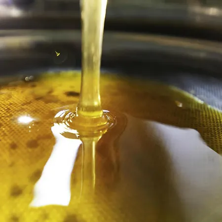 Hotel Greet Pont Du Gard - Route D'avignon 3*